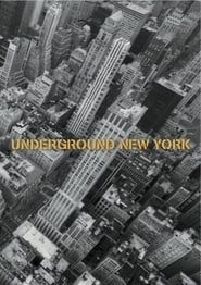 Underground New York series tv