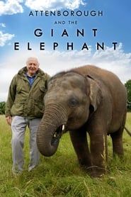 Attenborough and the Giant Elephant series tv