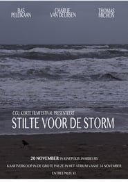Stilte voor de Storm series tv