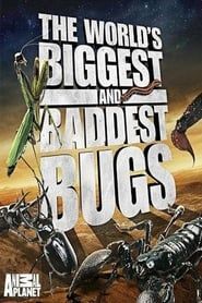 The World's Biggest and Baddest Bugs series tv