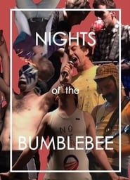 Nights of the Bumblebee series tv