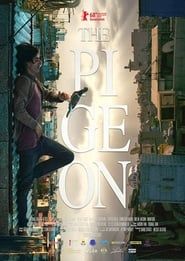 The Pigeon-hd