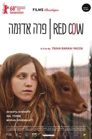 Red Cow-hd
