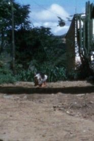 Dog (1974)