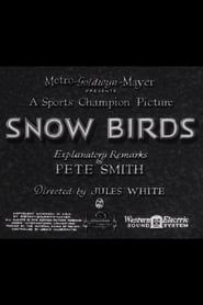 Snow Birds series tv
