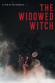 The Widowed Witch series tv