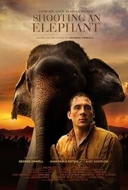 Image Shooting an Elephant