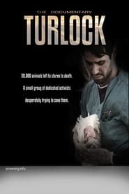 Turlock series tv