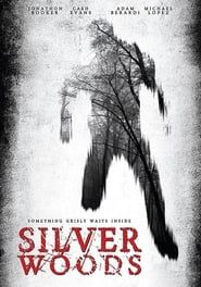Silver Woods series tv