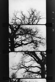 Finestra davanti ad un albero (1989)