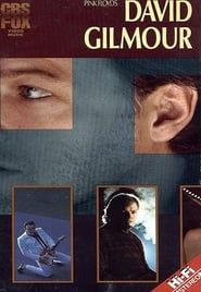 David Gilmour: Live 1984 series tv