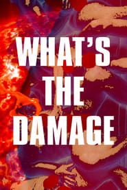 What's The Damage series tv