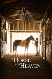 A Horse from Heaven (2018)