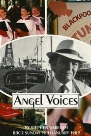 Angel Voices series tv