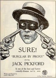 Burglar by Proxy series tv