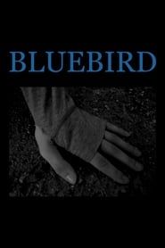Image Bluebird