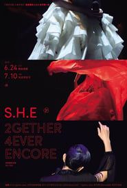 S.H.E 2gether 4ever Encore live concert in Taipei (2014)