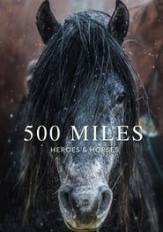 Image 500 Miles - The Story of Ranchers and Horses