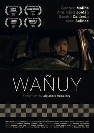Wañuy (2017)