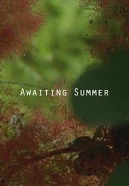 Awaiting Summer series tv