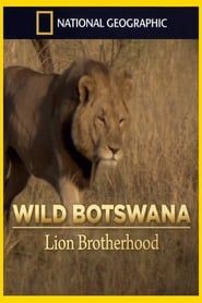 Image Lion Brotherhood
