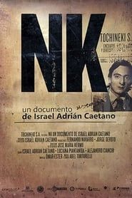 NK (2013)