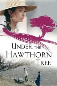 Under the Hawthorn Tree series tv
