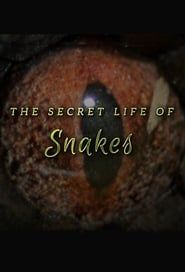 Image The Secret Life of Snakes