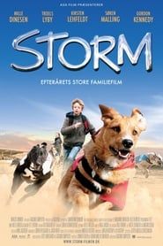 watch Storm, mon chien, mon ami