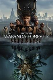 Voir Black Panther : Wakanda Forever en streaming