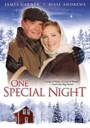One Special Night series tv