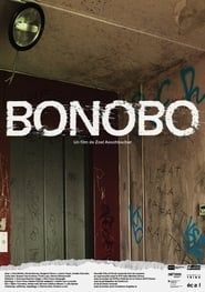 Image Bonobo 2018