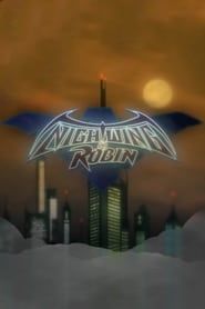 Nightwing and Robin-hd
