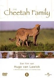 Cheetah Story  streaming