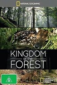 Kingdom of the Forest series tv