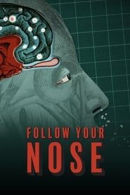 Image Follow Your Nose: Cracking Smell's Code