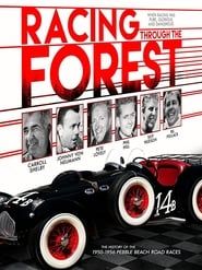 Racing Through the Forest series tv