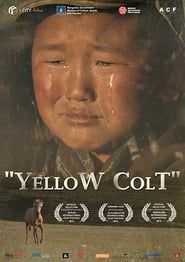 Yellow Colt series tv