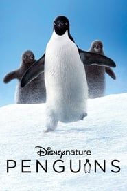 Image Pingouins