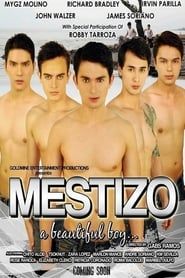 Mestizo: A Beautiful Boy series tv