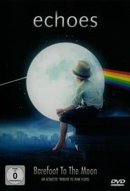 Image Echoes - Barefoot To The Moon  - An Acoustic Tribute To Pink Floyd 2015
