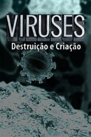 Image Virus-Destruição e Criação