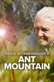 David Attenborough's Ant Mountain series tv