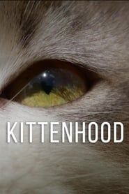 Kittenhood series tv
