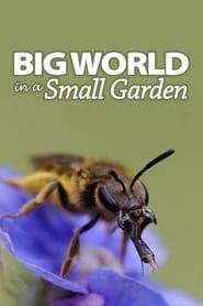 Big World In A Small Garden series tv