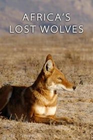 Image Africa's Lost Wolves