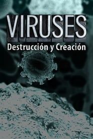 Image Virus-Destrucción y Creación