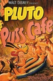 Affiche de Puss Cafe