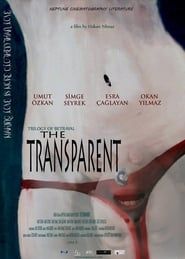 The Transparent series tv