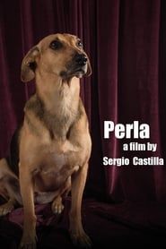 watch Perla: La Película